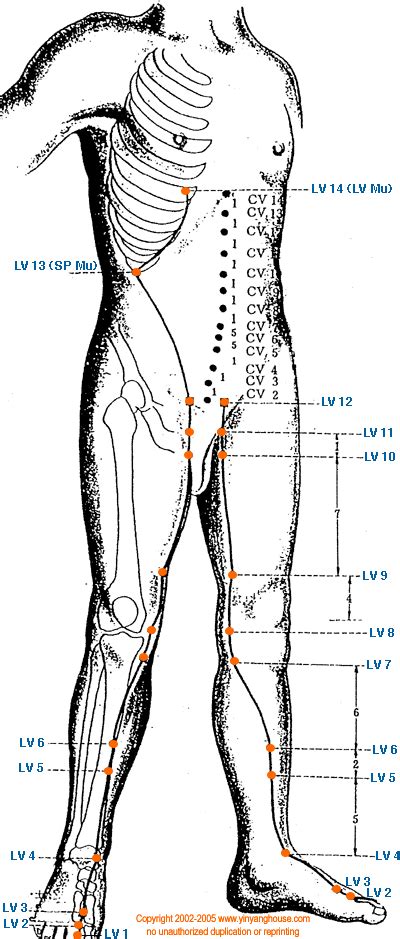 lv 7 acupuncture point|liver meridian symptoms.